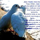 Дима И Аля Жуковы