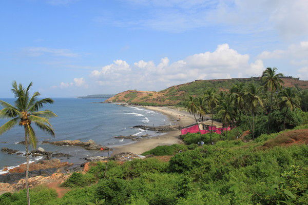 Александр Корноухов