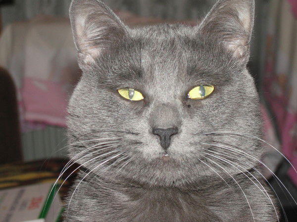 Роман Овчинников