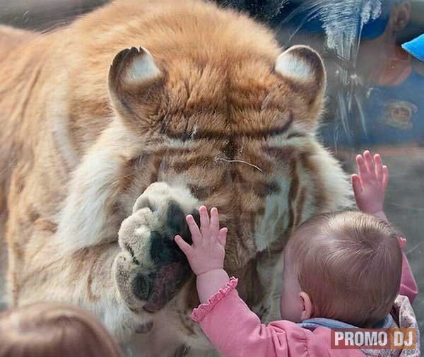 Сергей Ободовский