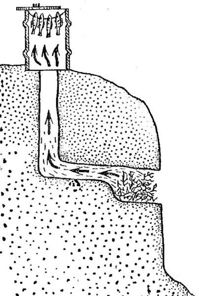 Сейтжан -----------