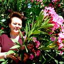 Елена Иванова