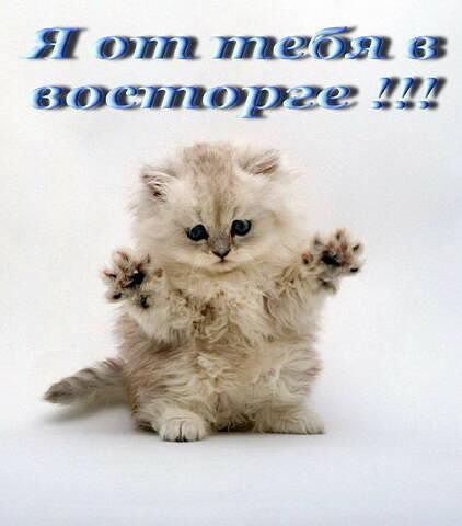 Рома Чумаев