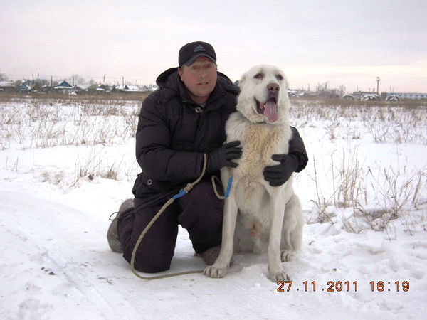 Александр Резов