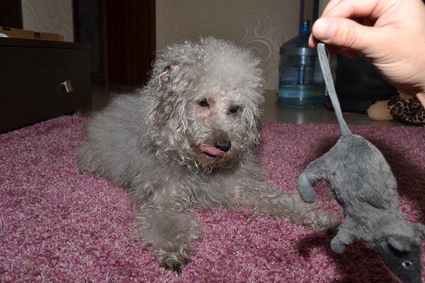 Василий Иванов