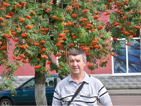 Николай Приходько