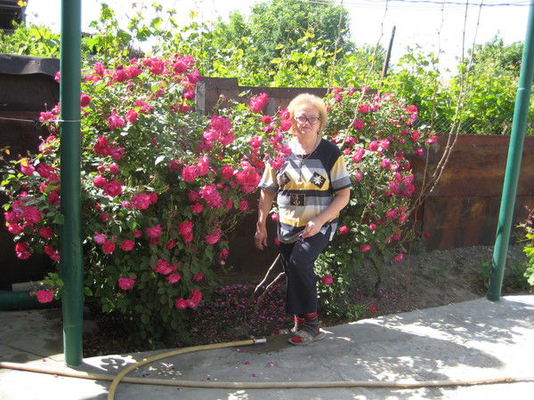 Ольга Шашова