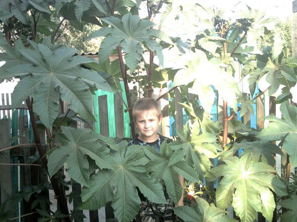 Сандр Клименко