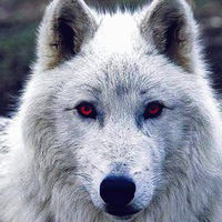 Даниль Вафин