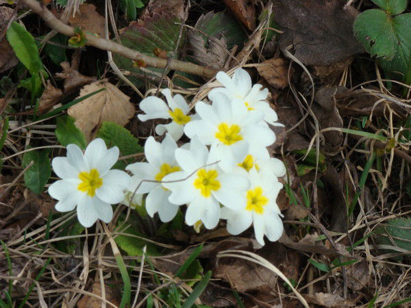 Неизвестно Неизвестно