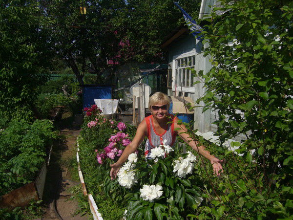 Вера Петушинская