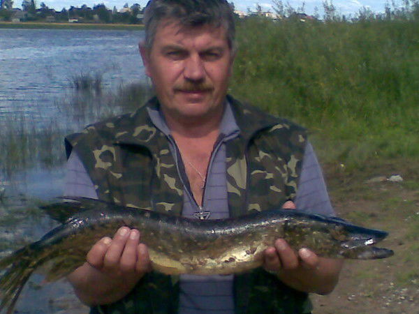 Вячеслав Михайлов