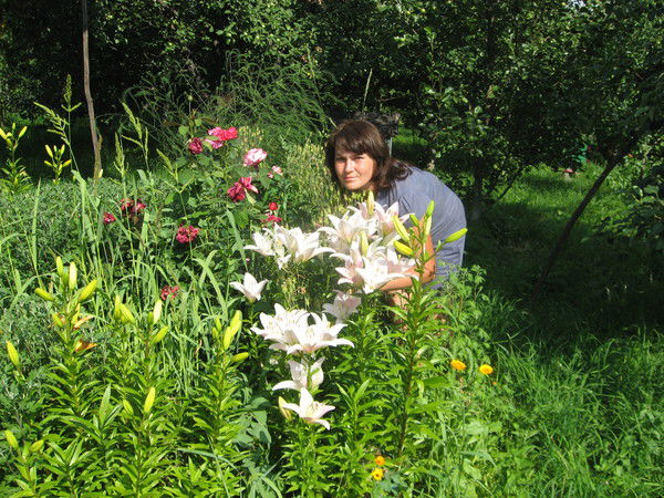 Люция Аклина