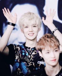 Аня Андреева