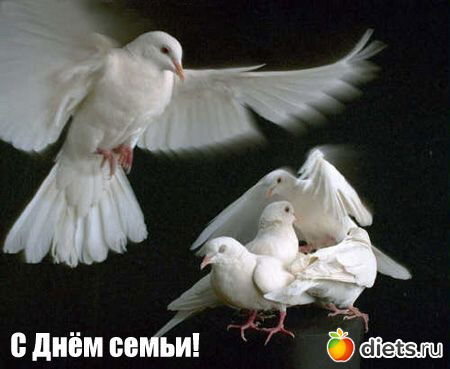 Наталья Должикова