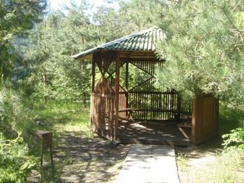 Санаторий Сосновый Бор