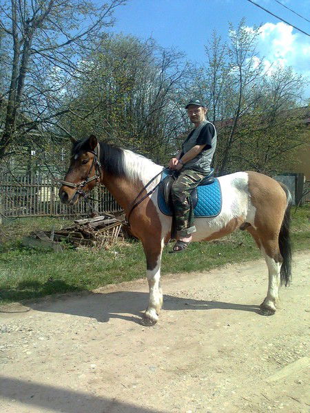 Андрей Стригин