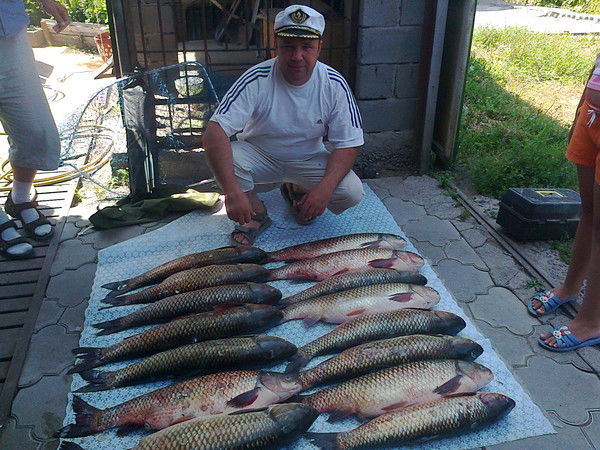 Александр Воробьёв