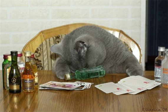 Александр Афанасьев