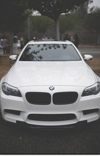 Александр Сергеевич