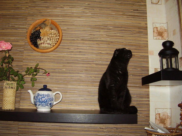 Александр Моисеев