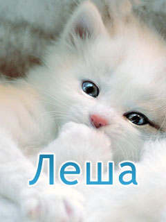 Алексей Кудимов