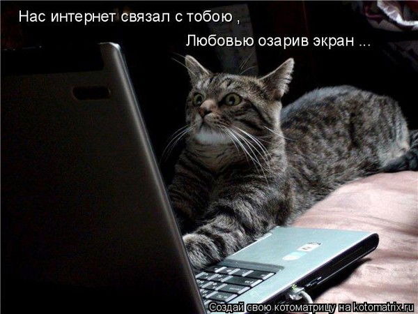 Галина Мироненко