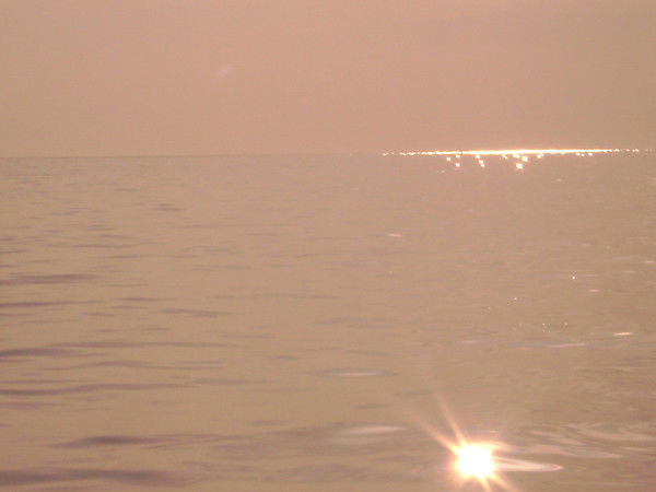 Наталья Литвиненко