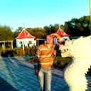 Дмитрий Иванов