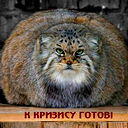 Сергей Наговицын