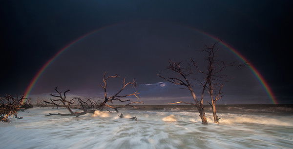 Замир Сайдимаматов