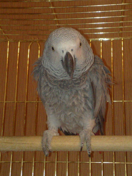 Марина Зайцева