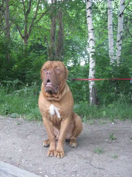 Елена Иванова