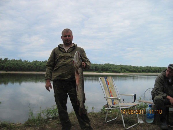 Сергей Негодяев