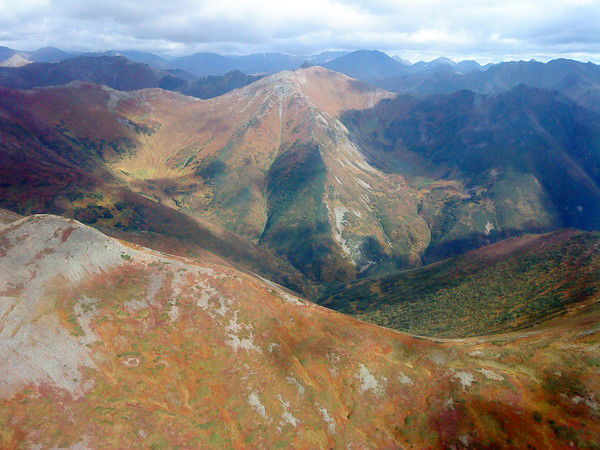 Людмила Лопатина