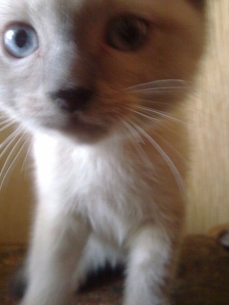 Наталья Ттттттттт