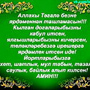 Альберт Хабибуллин