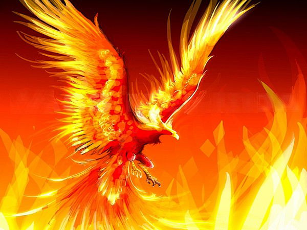 Антон Олейников