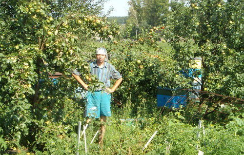 Хамза Габдрахманов