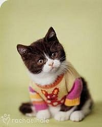 Ирина Горячих