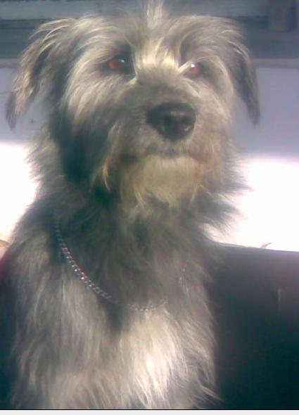 Алексей Б.а