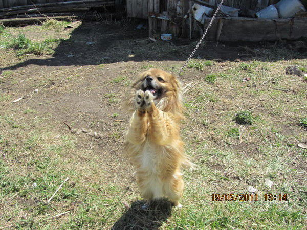 Пётр Култышев