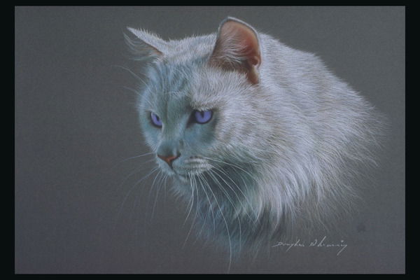 Наталья Белозерова