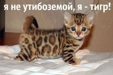 Анна Харченко