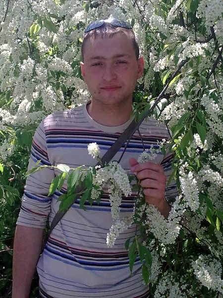 Евгений Келтуитору