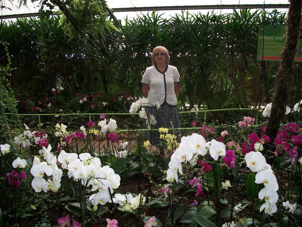 Елена Грушко