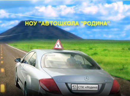 Ноу Дпо Автошкола Родина  Досааф России