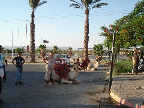 Наталья Брусиловская