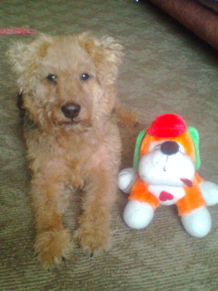 Галина Галдина (Жукова)