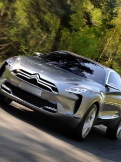 Алихан Омирхан